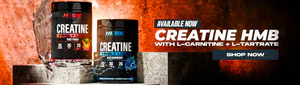 Unleash Your Ultimate Strength